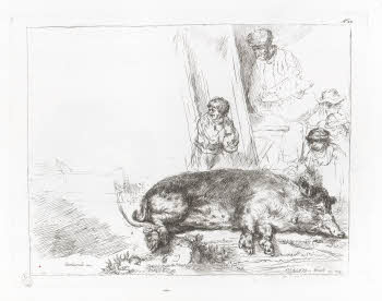 Vol.%20Z%20126%2C%20tav.%2022